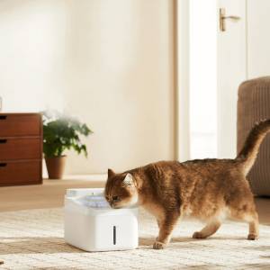 معرفی آبخوری اتوماتیک حیوانات شیائومی مدل xiaomi smart pet fountain 2